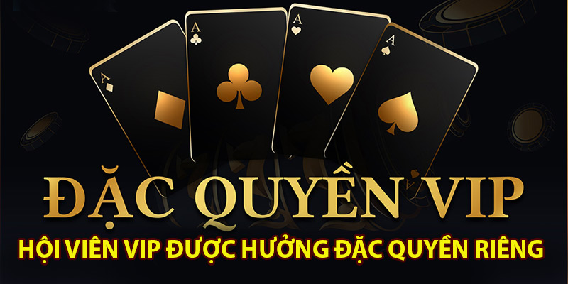 Hội viên VIP được hưởng đặc quyền riêng