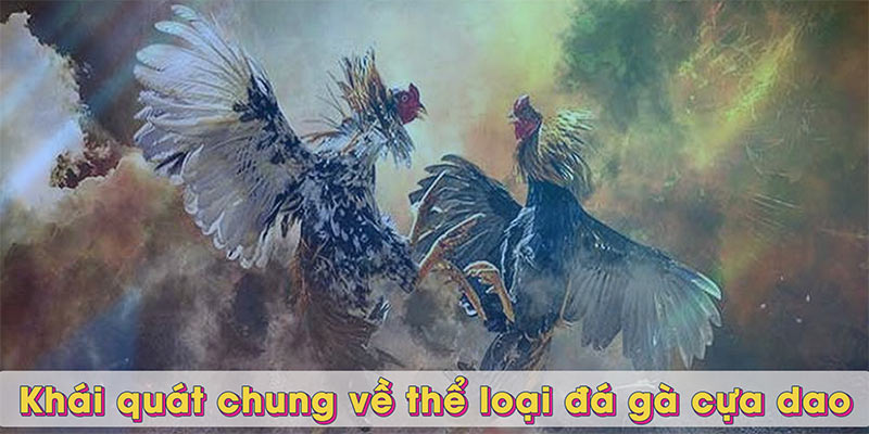 Khái quát chung về thể loại đá gà cựa dao