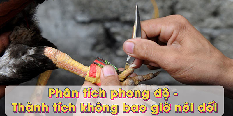 Phân tích phong độ - Thành tích không bao giờ nói dối