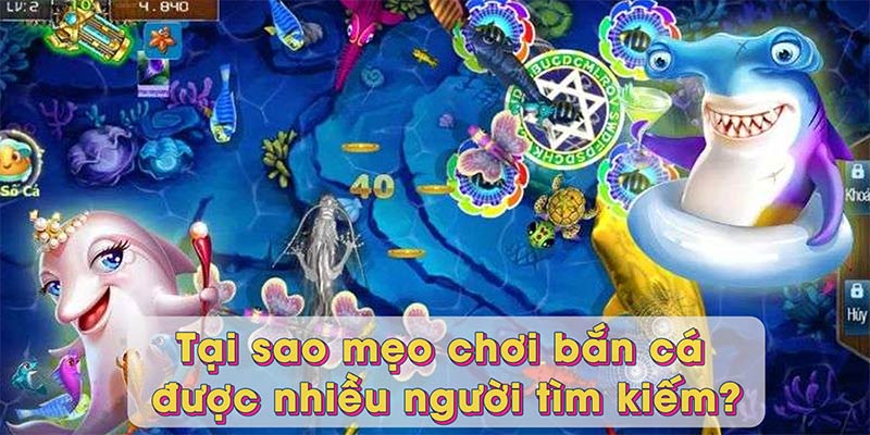 Tại sao mẹo chơi bắn cá được nhiều người tìm kiếm?