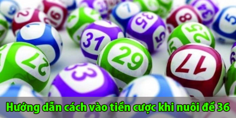 Hướng dẫn cách vào tiền cược khi nuôi đề 36 